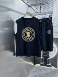 Picture of Burberry Shirt Pant Suits _SKUBurberryM-5XL13gn20020612